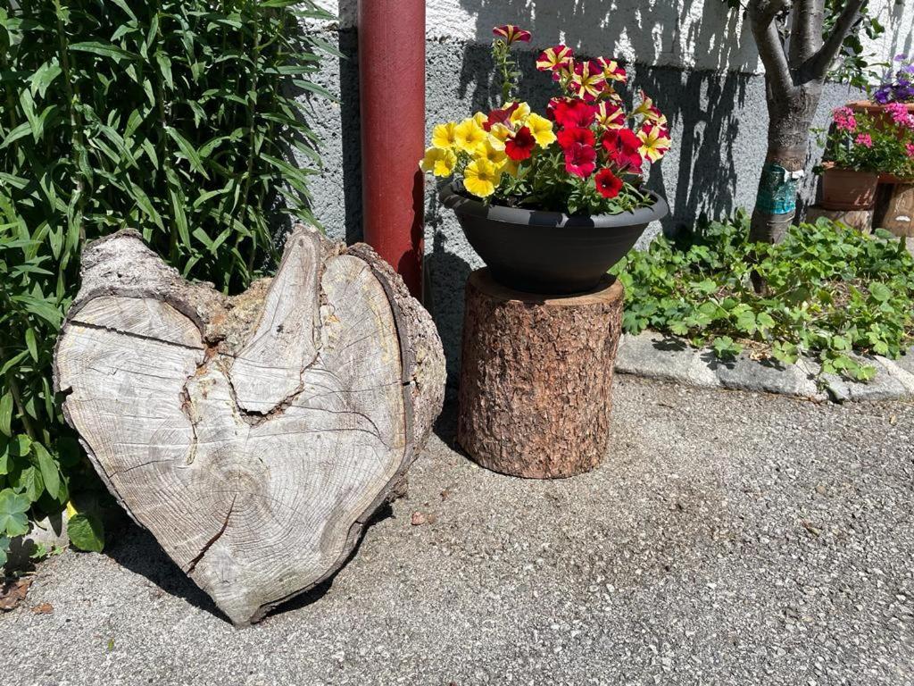 Neudegghof Apartman Eben Im Pongau Kültér fotó